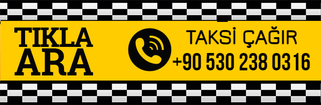Doğoumevi Taksi Logo